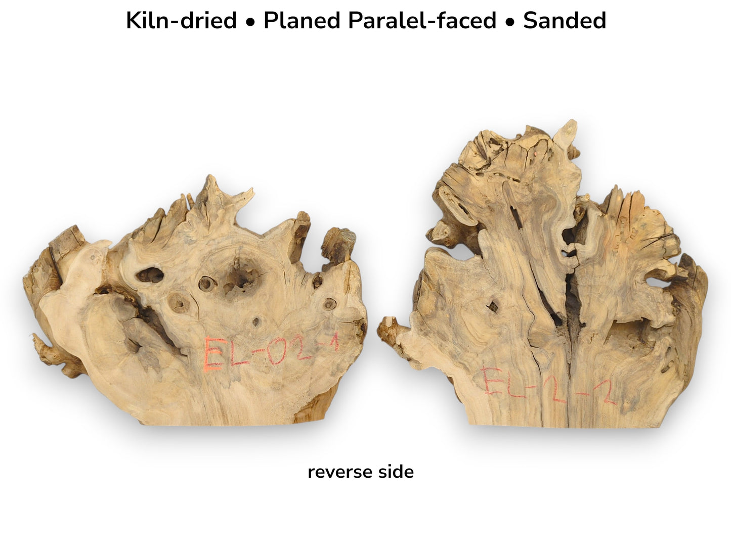 Reverse view of two planed, sanded elderberry root wood slabs with irregular live edge shapes.