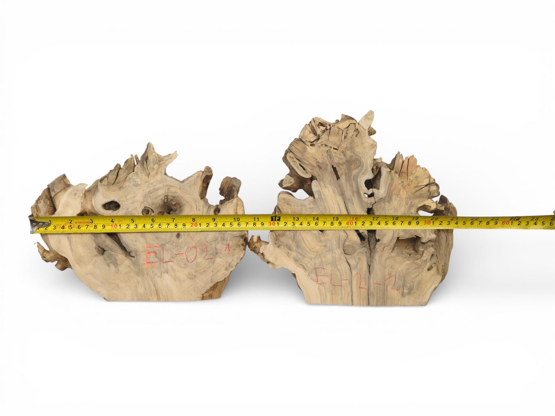A yellow measuring tape shows the dimensions of two live edge Elderberry Root Wood Slices for wall decor.