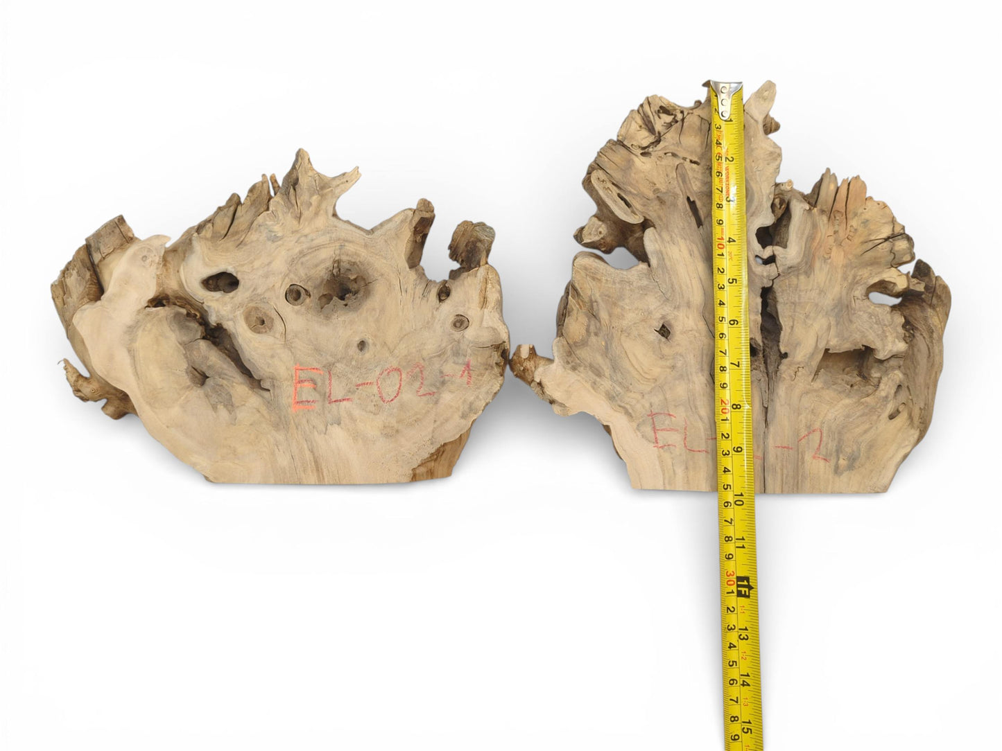 Dimensions for two live edge Elderberry Root Wood Slices, a tree slab for resin art, are shown.