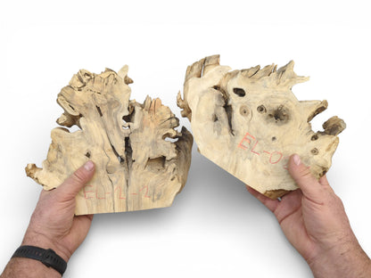 Two Elderberry Root Wood Slices held together, showing the live edge tree slab for resin art.