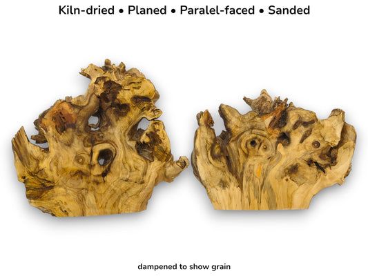 Image with text details showing two irregular elderberry root wood slices with visible grain and knots.