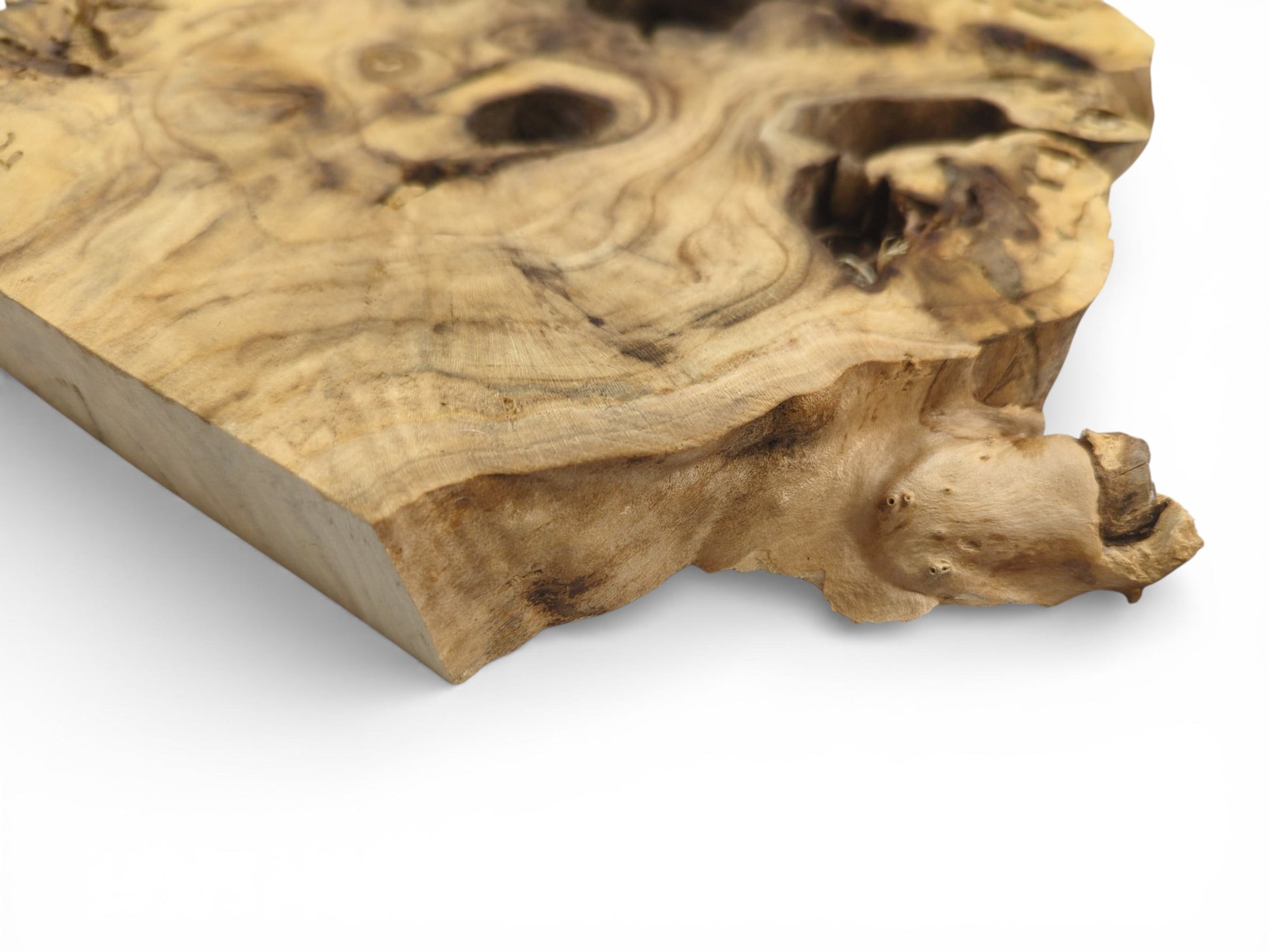 Natural grain patterns on an Elderberry root wood slice, a live edge tree slab for resin art.