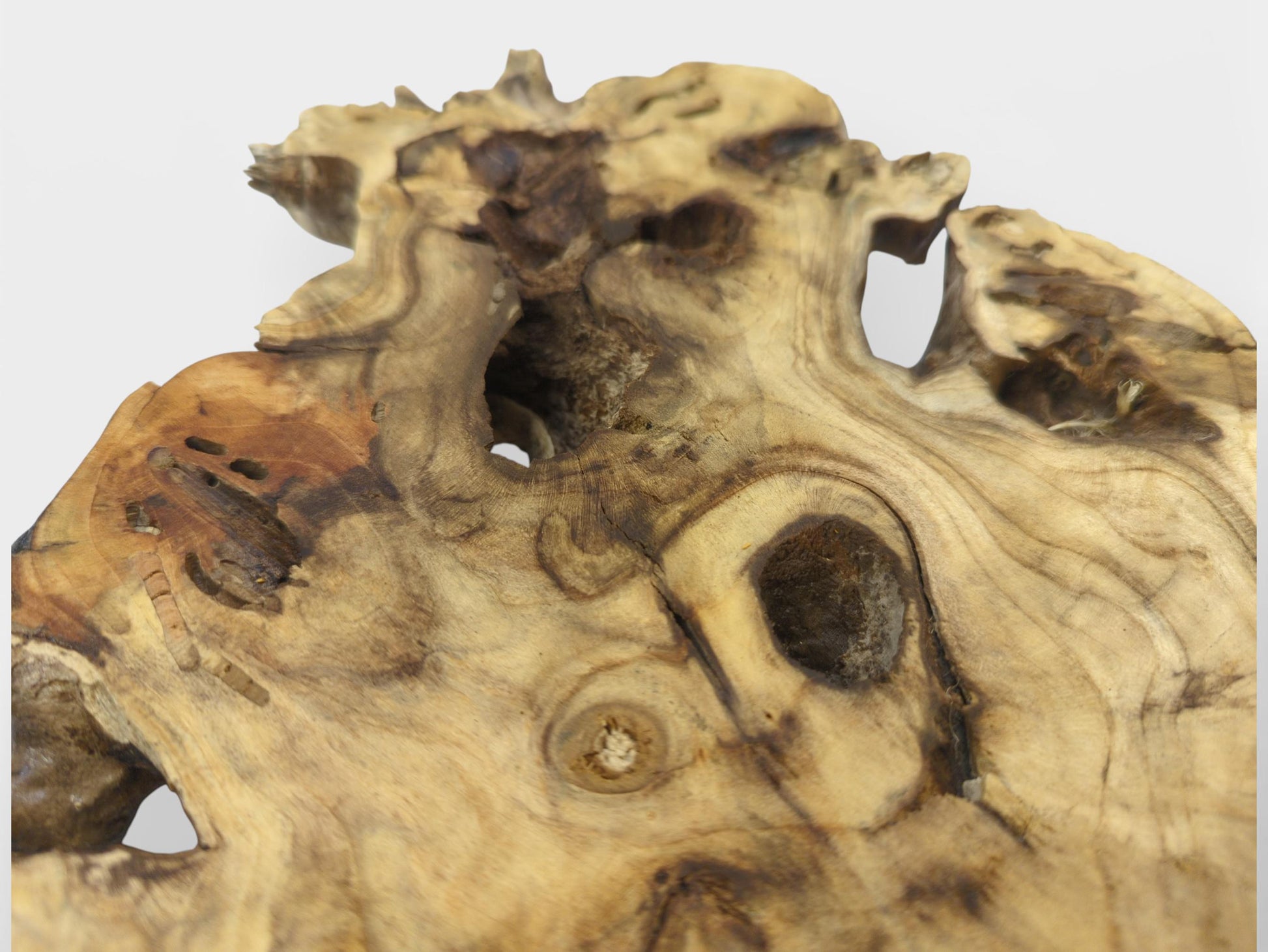 Voids and dark knots are visible on this Elderberry root wood slice, a live edge tree slab.