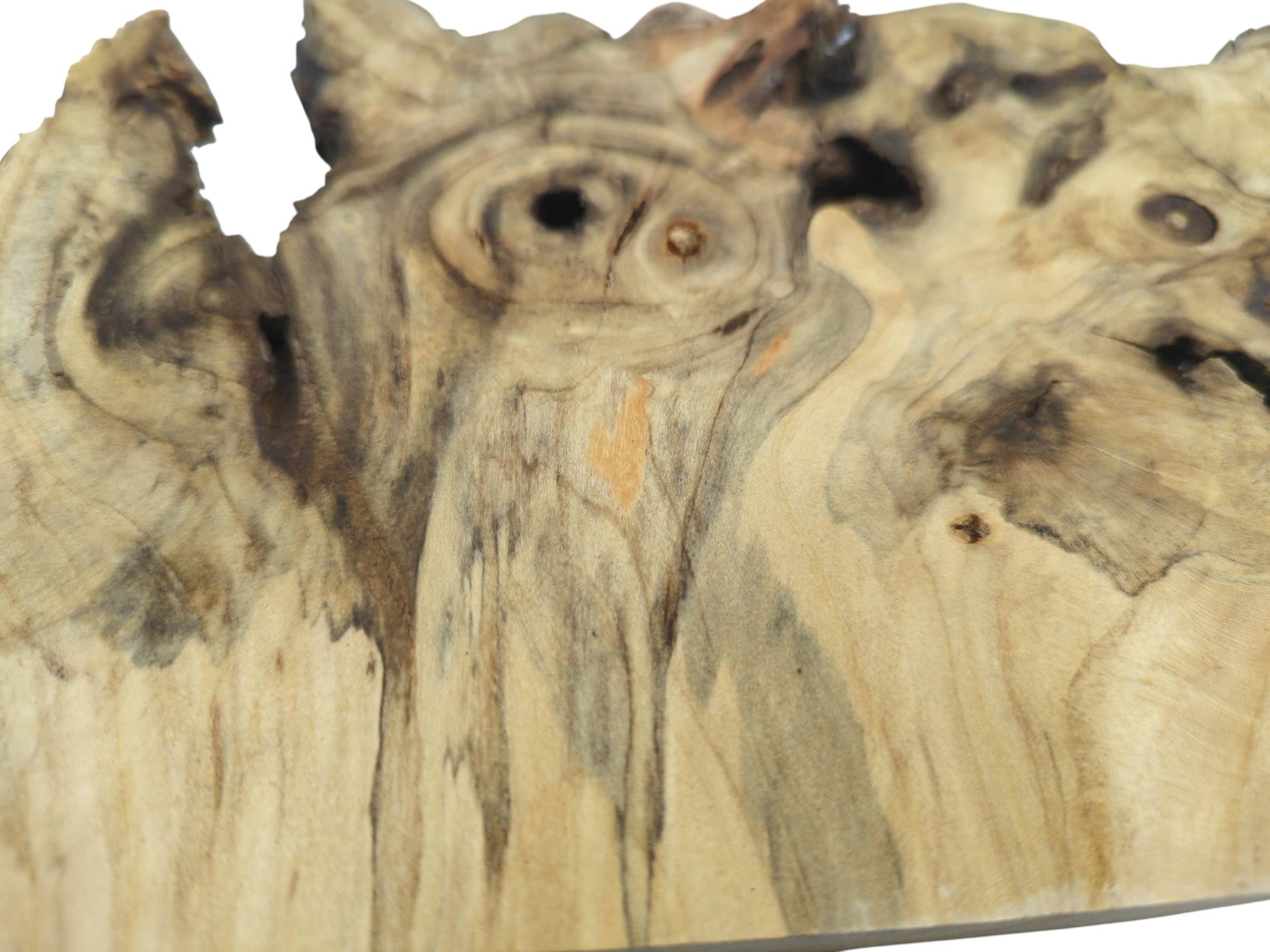 Knots and dark grain patterns on an Elderberry Root Wood Slice, a live edge tree slab.
