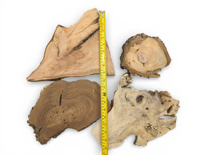 Four irregularly shaped wood slabs, varying in color, arranged with a tape measure for size reference.