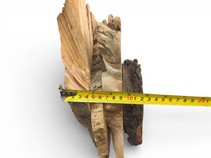 An assortment of wood pieces with varied textures stands upright, measured horizontally with a yellow tape.
