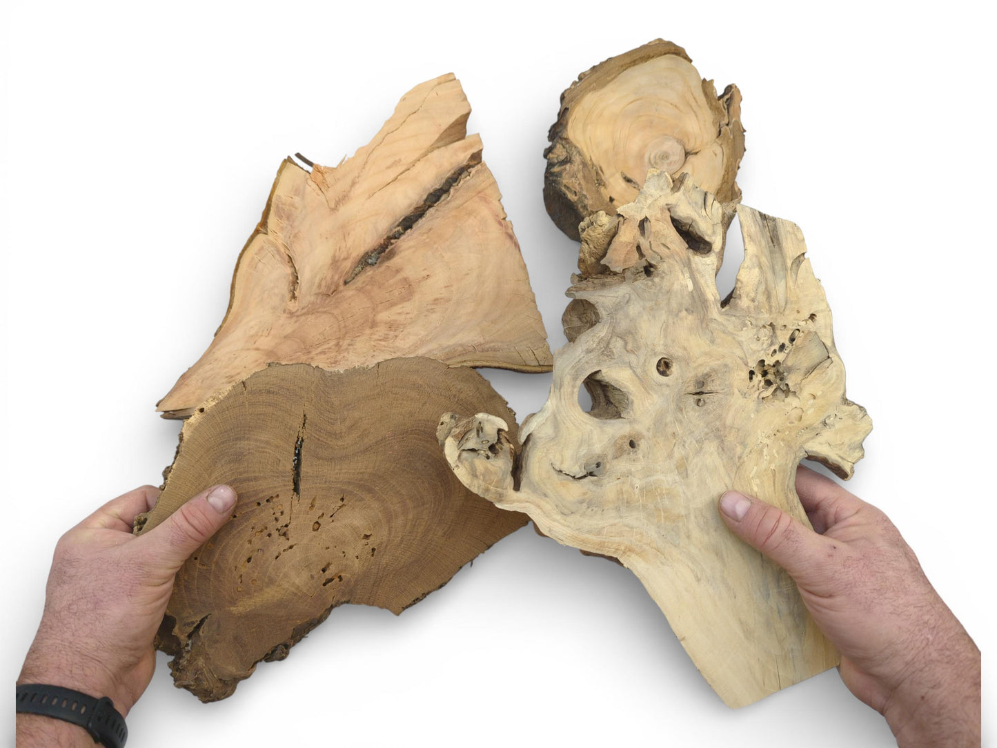 A person displays four assorted wood slabs, highlighting their distinctive shapes, voids, and contrasting grain patterns.