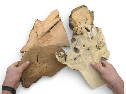 A person displays four assorted wood slabs, highlighting their distinctive shapes, voids, and contrasting grain patterns.