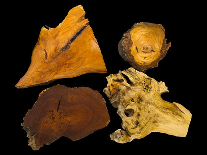 Four wood slices arranged on a black background, featuring burls, voids, and concentric growth rings.