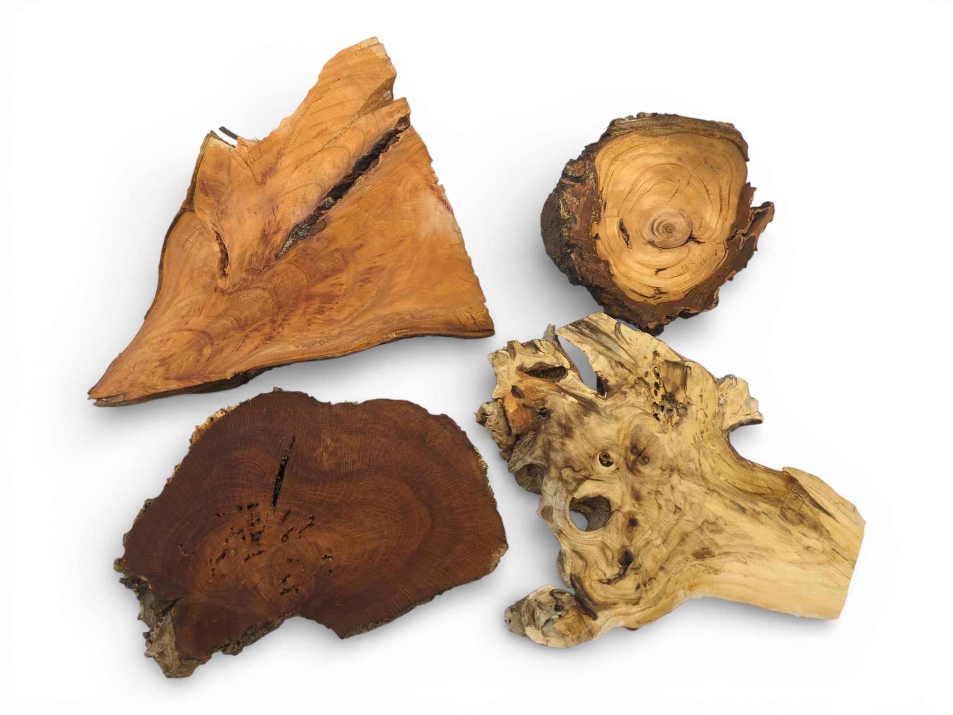Four unique wood sections are laid flat, revealing diverse shapes, natural colors, and grain patterns.