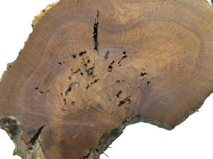 A detailed view of a brown wood cross-section marked by a long fissure and pockmarked cavities.