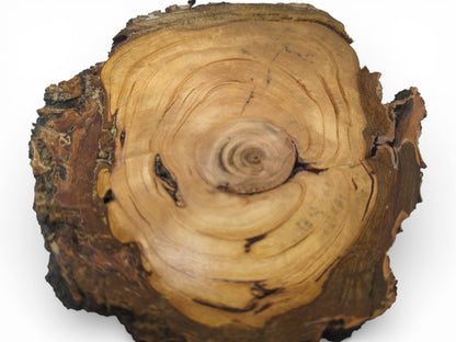 A wood cross-section photographed from above, revealing a distinct central knot within its circular grain pattern.