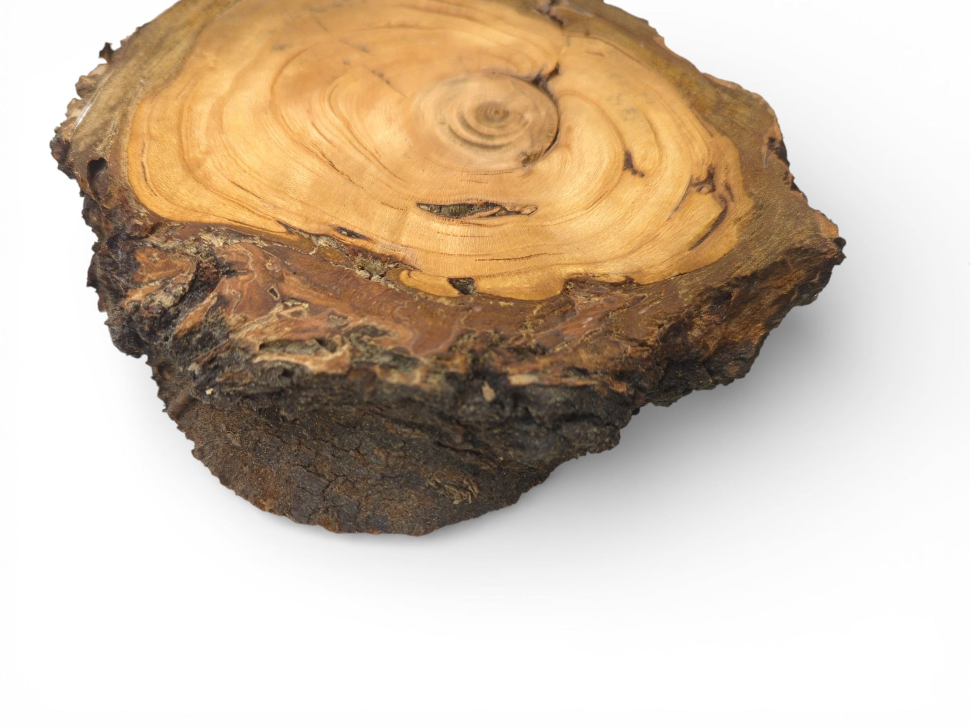 Close-up on an irregular wood slab, displaying swirling interior grain against its thick, textured bark.