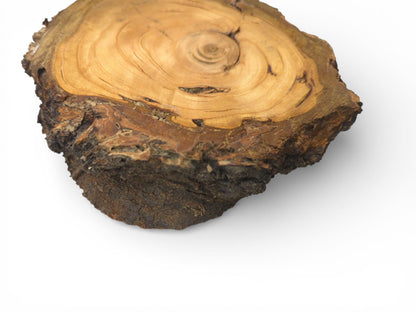 Close-up on an irregular wood slab, displaying swirling interior grain against its thick, textured bark.