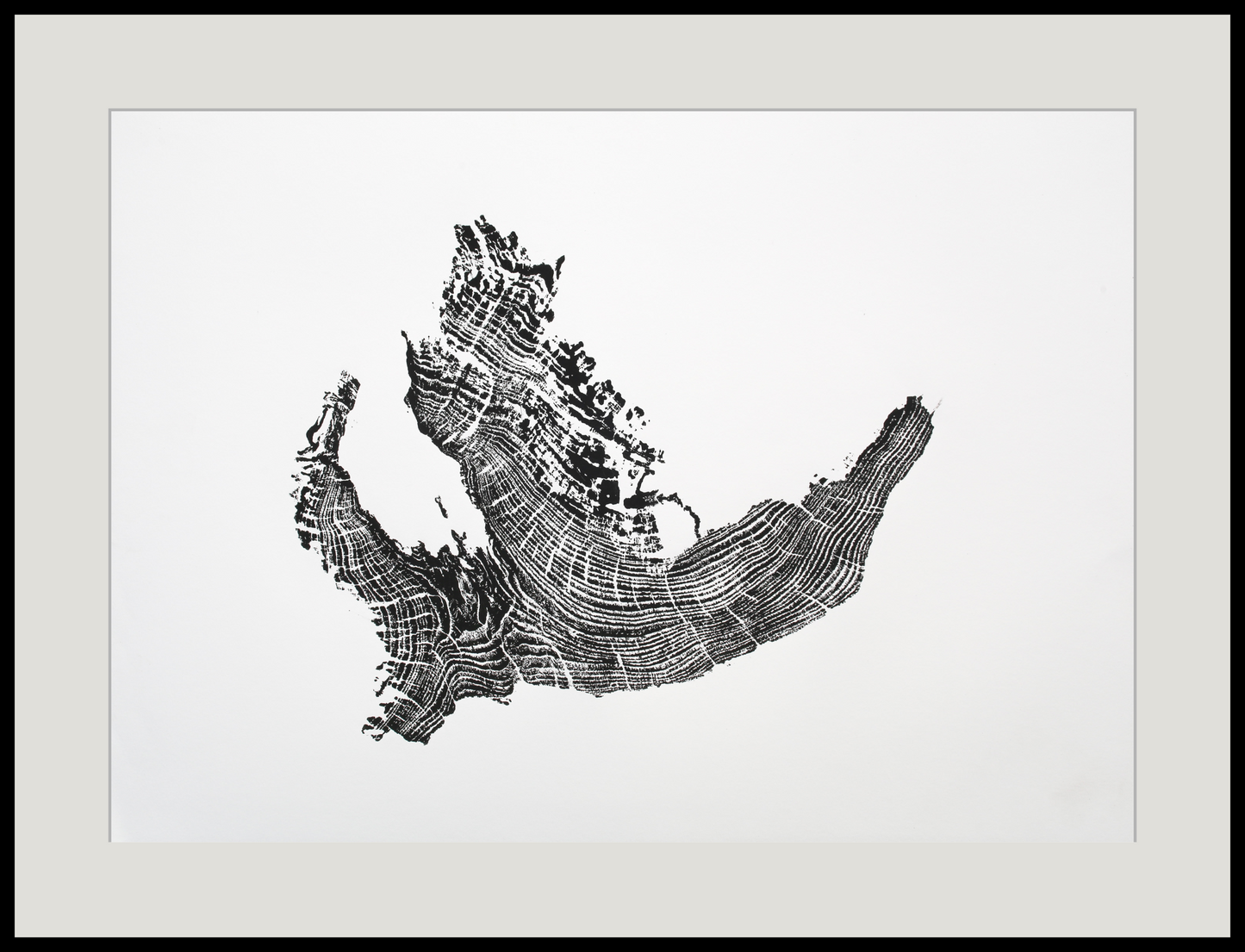 An irregular black tree root monoprint with visible growth rings, matted in light grey and framed in black.