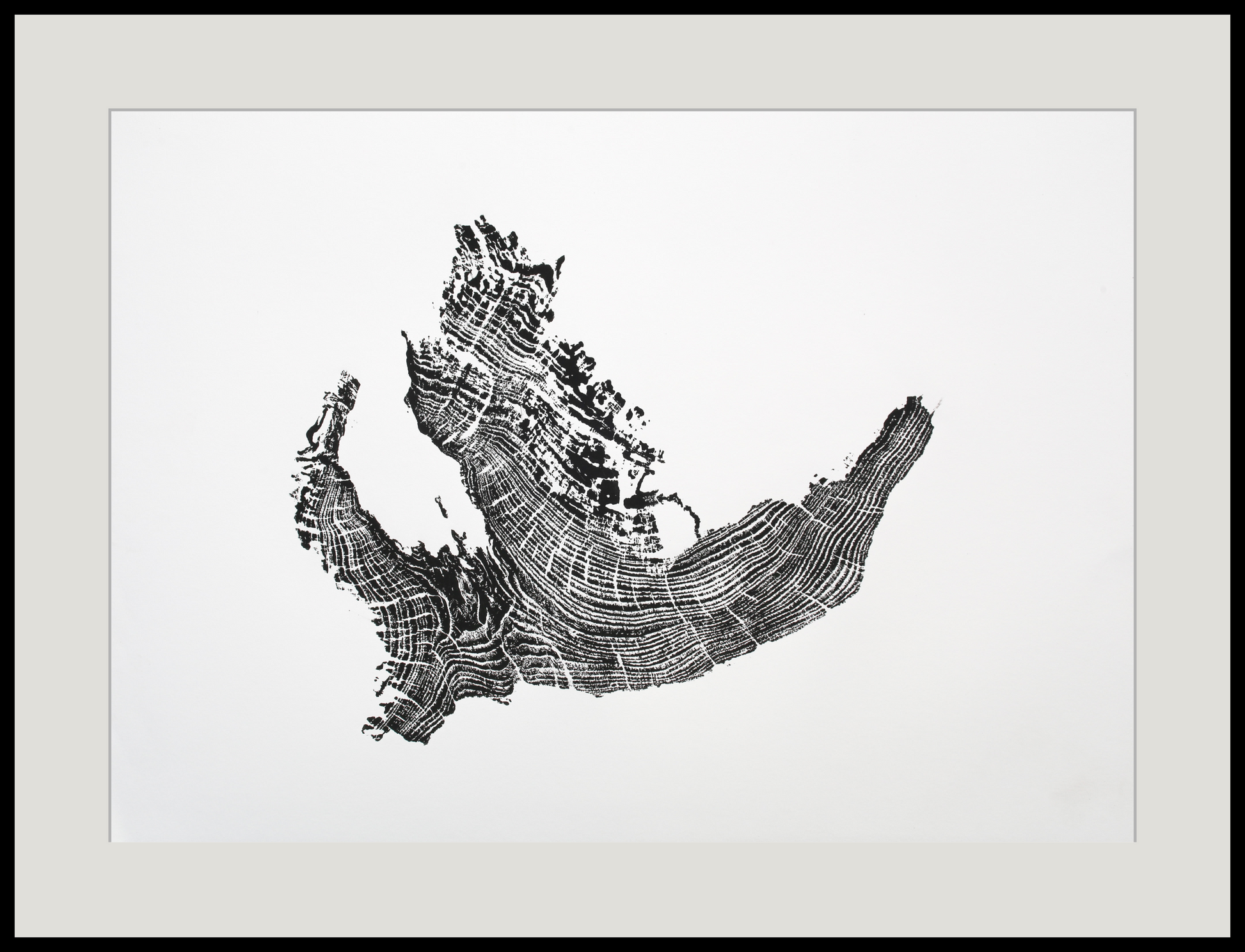 An irregular black tree root monoprint with visible growth rings, matted in light grey and framed in black.