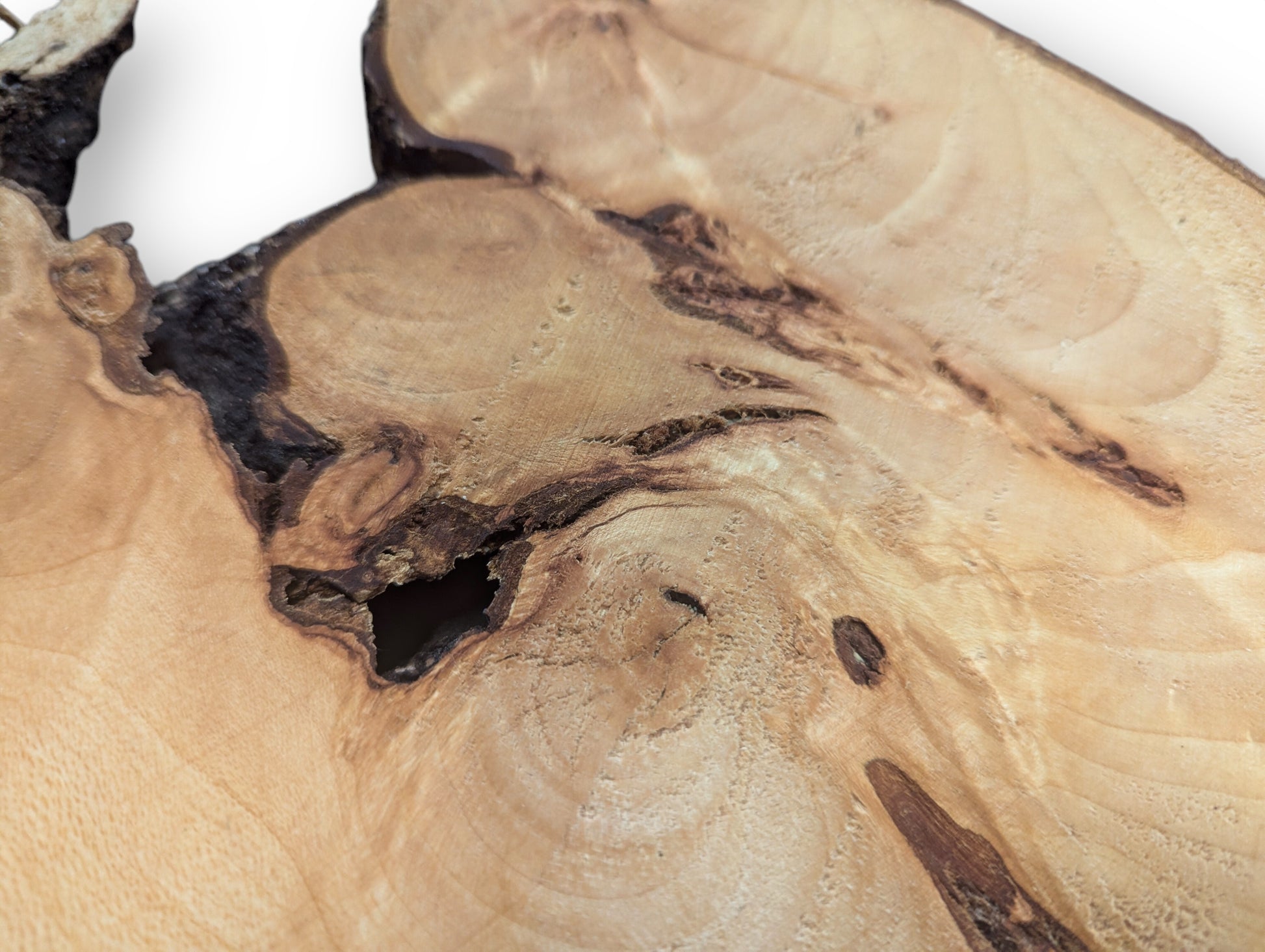 Untreated linden root wood slice with light color, wavy grain, dark irregular voids, and natural bark.