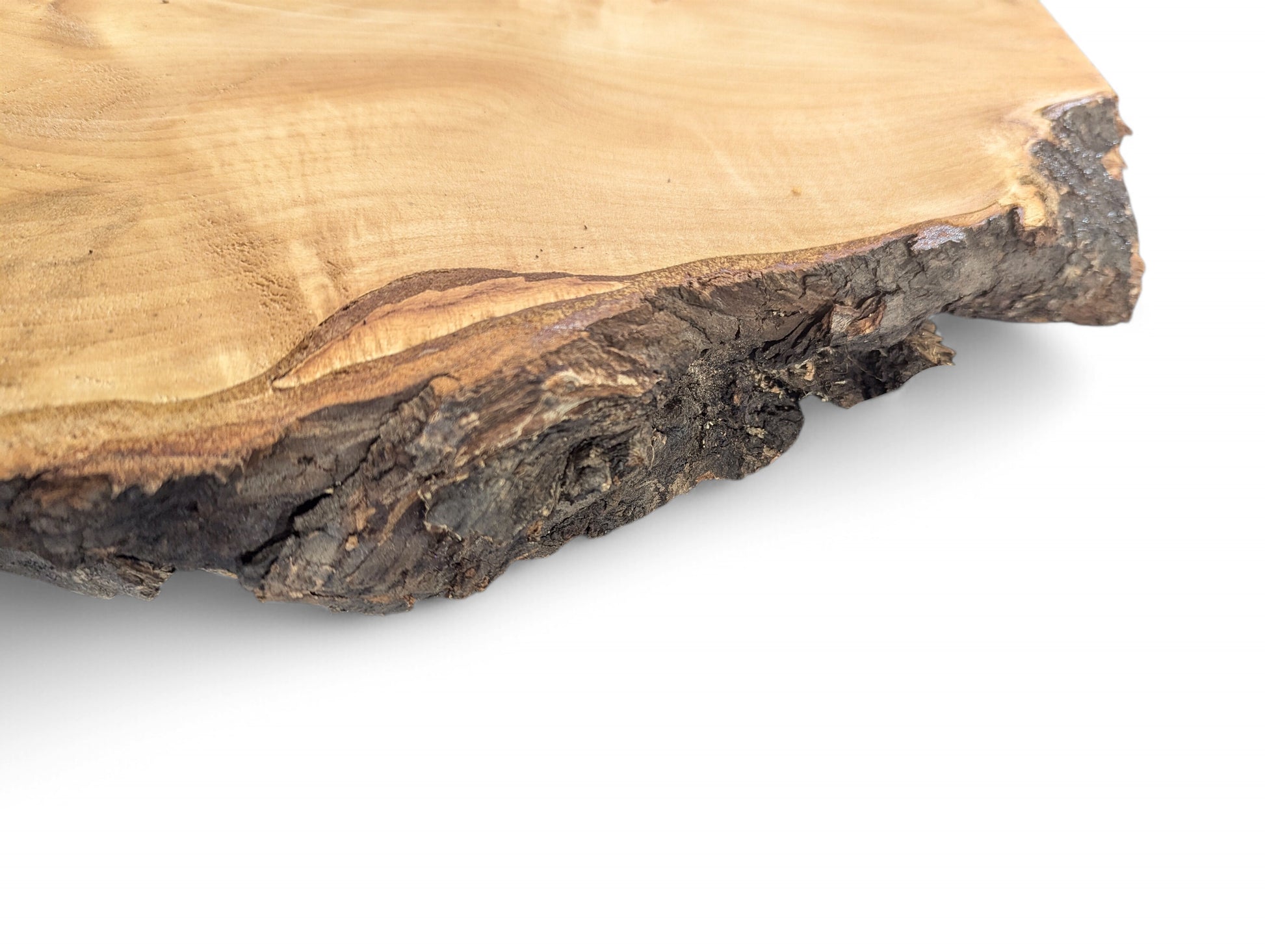 A linden root wood slice features a light, sanded surface and a rough, dark brown live edge.