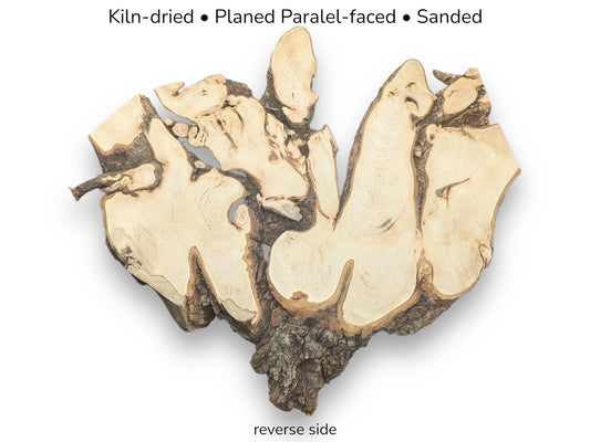 Irregular linden root wood slice displaying light wood grain, dark bark edges, and descriptive text.