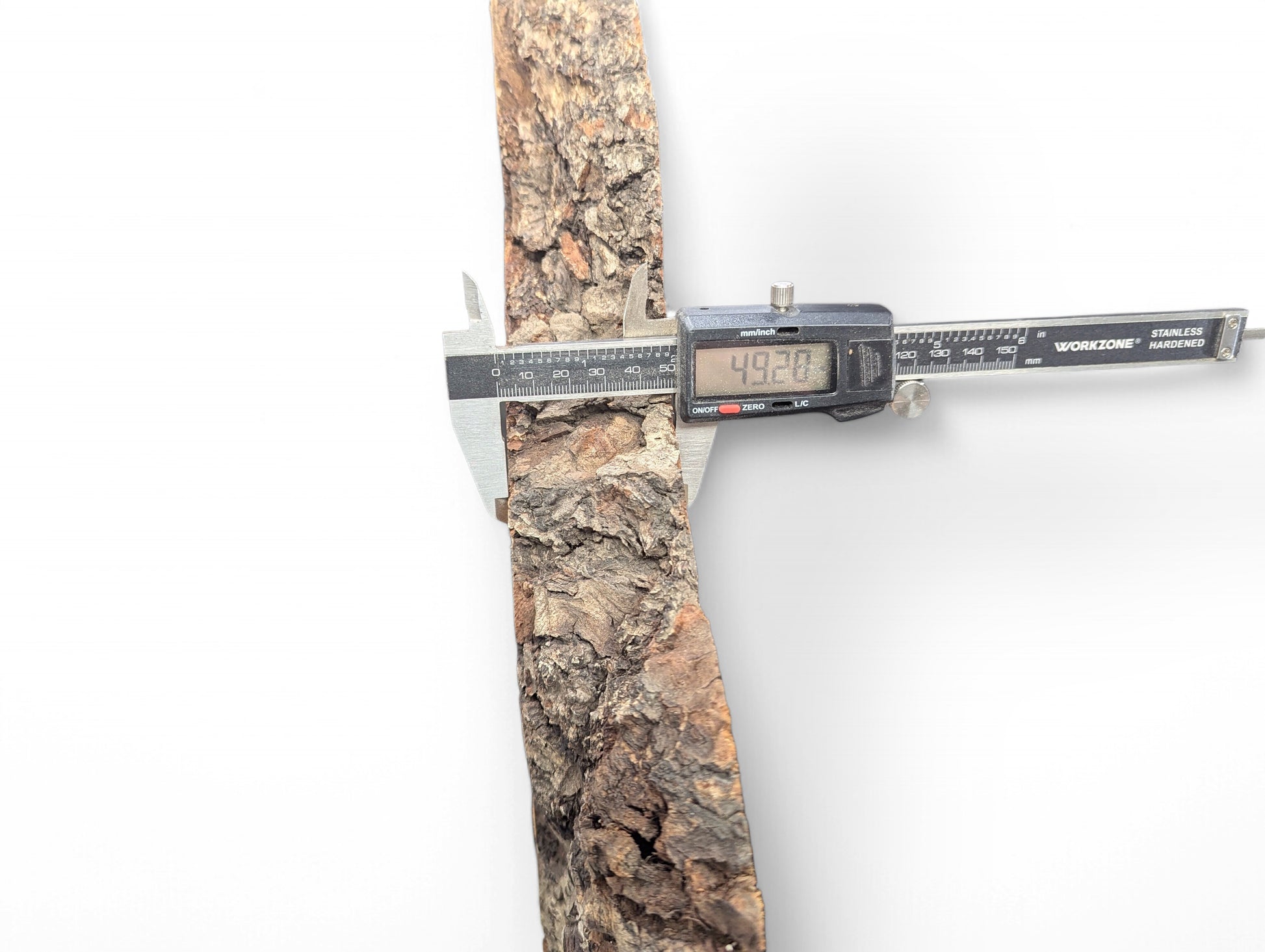 Digital caliper measuring the thick, dark, rough bark of a linden root wood slice at 49.20mm.