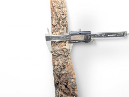 Digital caliper measuring the thick, dark, rough bark of a linden root wood slice at 49.20mm.
