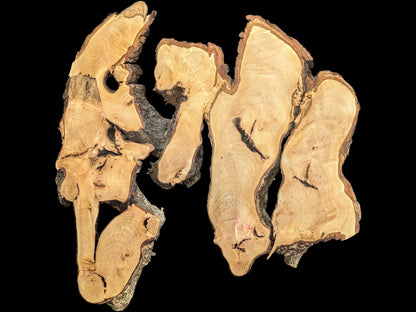 Irregular, light brown linden root wood slice, planed, sanded, showing natural grain and dark bark.