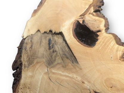 A linden root wood slice, light brown, with dark bark, a void, and sanded surface.