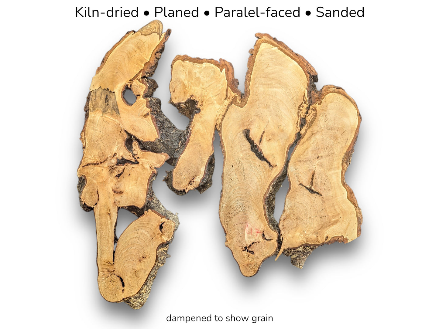 Image with text details showing irregular, light brown root wood slice with bark edges and grain.