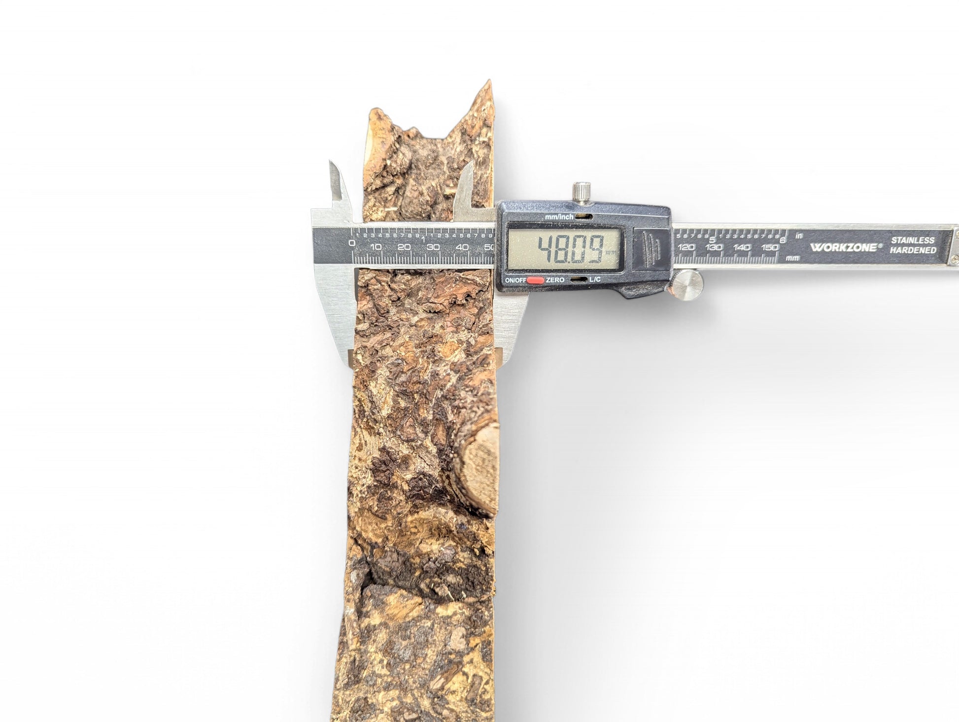 A digital caliper displays 48.09 mm, measuring the rough, dark brown bark of a linden root slice.