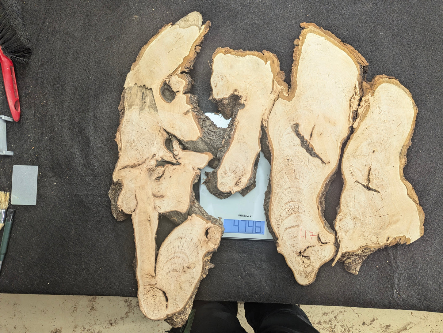Five pale, sanded linden root wood slices with dark bark, weighing 4796 grams on a digital scale.