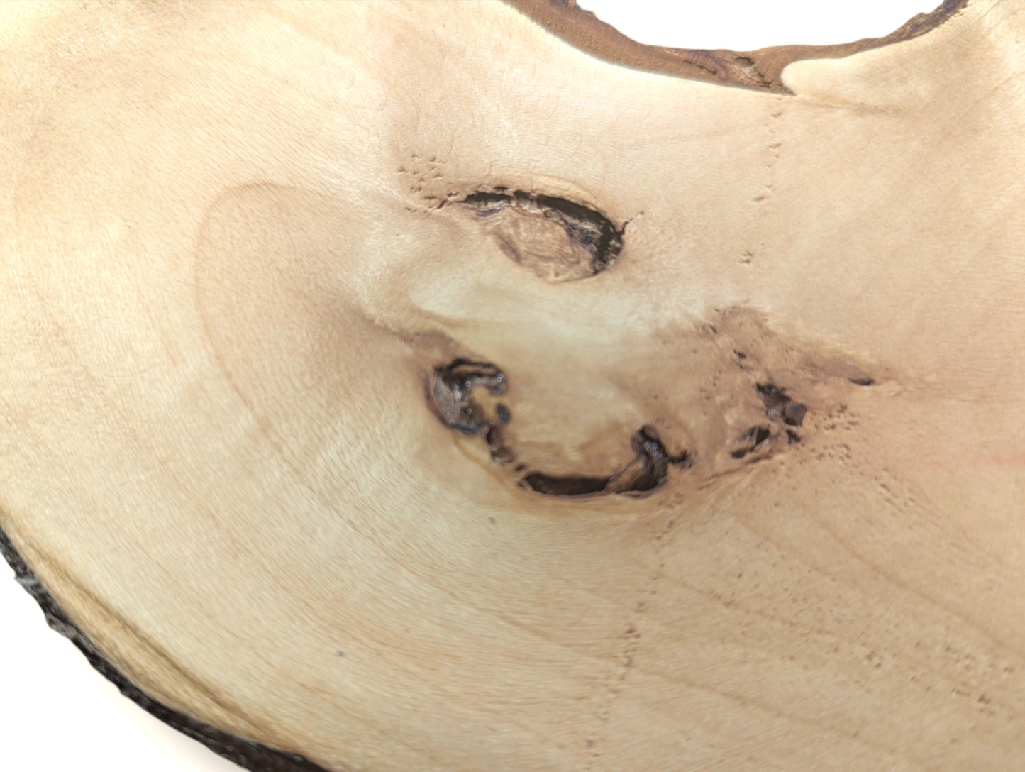 Light-colored linden root wood slice showing smooth surface, natural grain, dark knots, and bark edge.