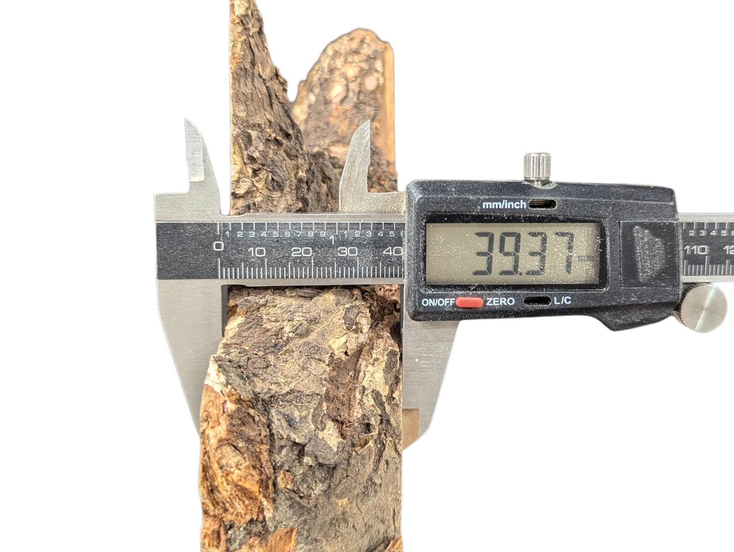A digital caliper measures the rough, dark bark of a linden root wood slice at 39.37 mm.
