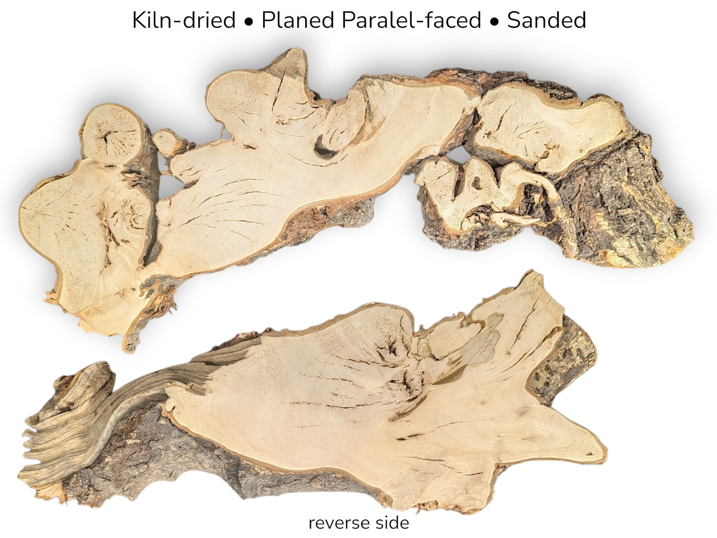 Collage of two pale, irregular linden root wood slices with dark bark, kiln-dried, planed, sanded.