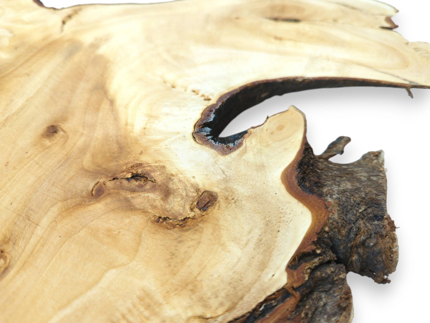 A dark, irregular void cuts into a pale wood section with a gnarled central knot.