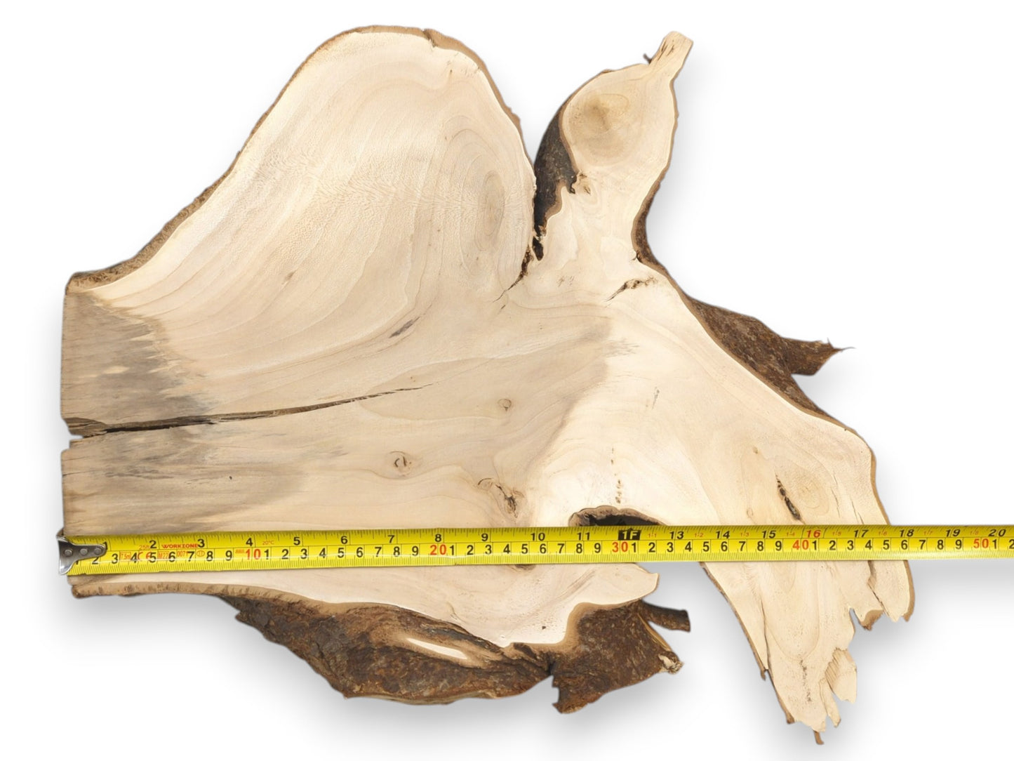 A yellow tape measure shows the width of a pale, raw-edged timber cross-section with cracks.