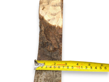 A yellow tape measures a vertical timber piece with dark, craggy bark and pale wood.