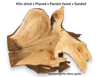 A linden root slab with a straight-cut, darkened edge contrasts its organic, bark-lined shape.