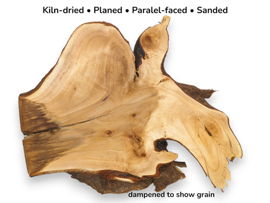 A linden root slab with a straight-cut, darkened edge contrasts its organic, bark-lined shape.