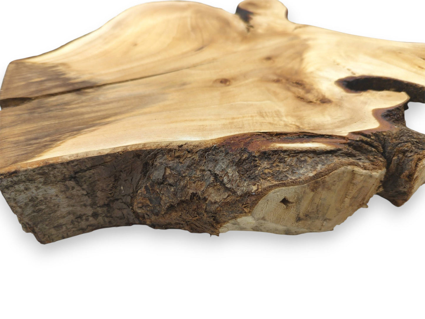 A low-angle view of a wood slab emphasizes its thick, craggy bark and pale surface.