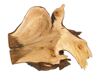 A raw linden burl features a wing-like projection, a large void, and dark staining.