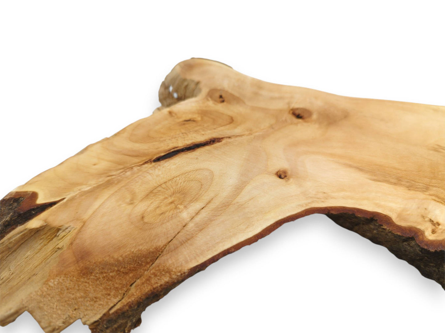 A low-angle shot across a pale timber section with grain rings and a dark inclusion.