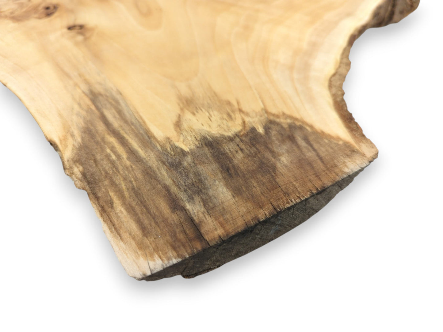 A thick, cross-cut edge reveals dark, weathered grain bleeding into the pale wood surface.