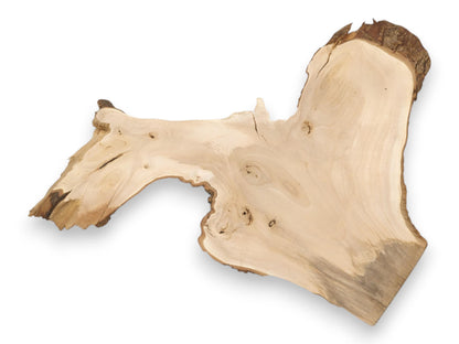 A pale, branching wood section displays swirling grain, dark knots, and a rugged live edge.