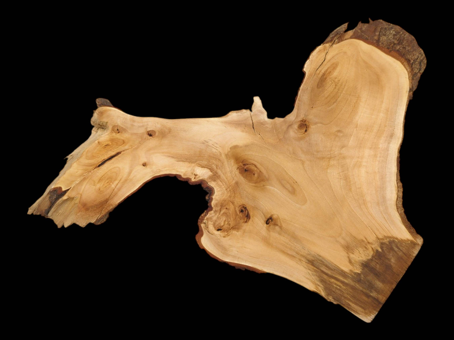 A pale, sanded wood cutting shows a large natural arch and numerous circular knots.