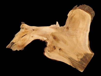 A pale, sanded wood cutting shows a large natural arch and numerous circular knots.