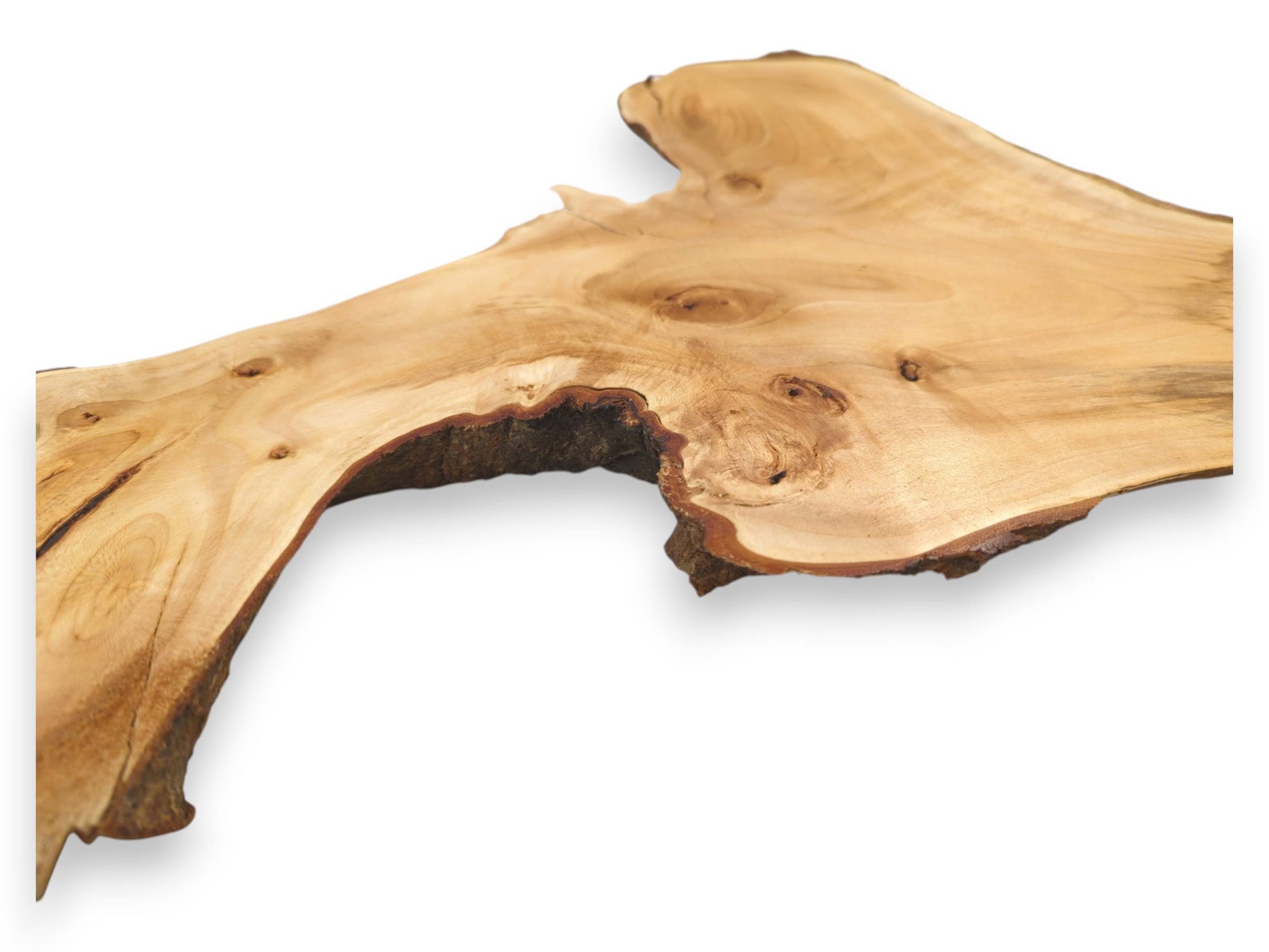 A planed timber slab viewed from an angle, revealing swirling grain and a jagged bark edge.