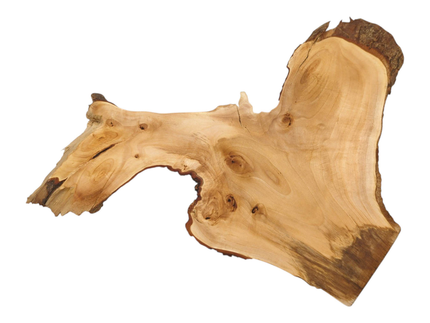 An asymmetrical timber section features prominent knots, flowing grain, and a dark, textured bark edge.