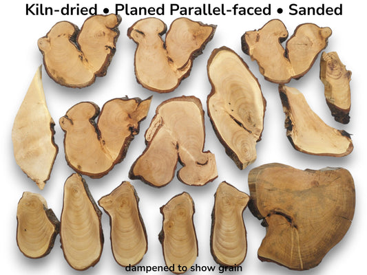 An overhead view of various kiln-dried, planed, and sanded linden wood slices with bark edges.