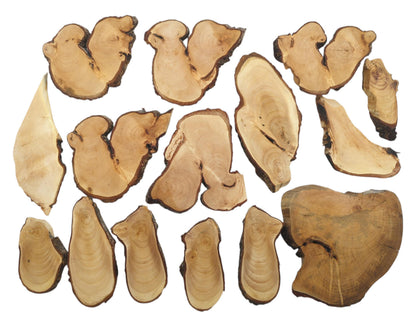 An overhead view of various natural linden wood slices with live bark edges and visible grain.
