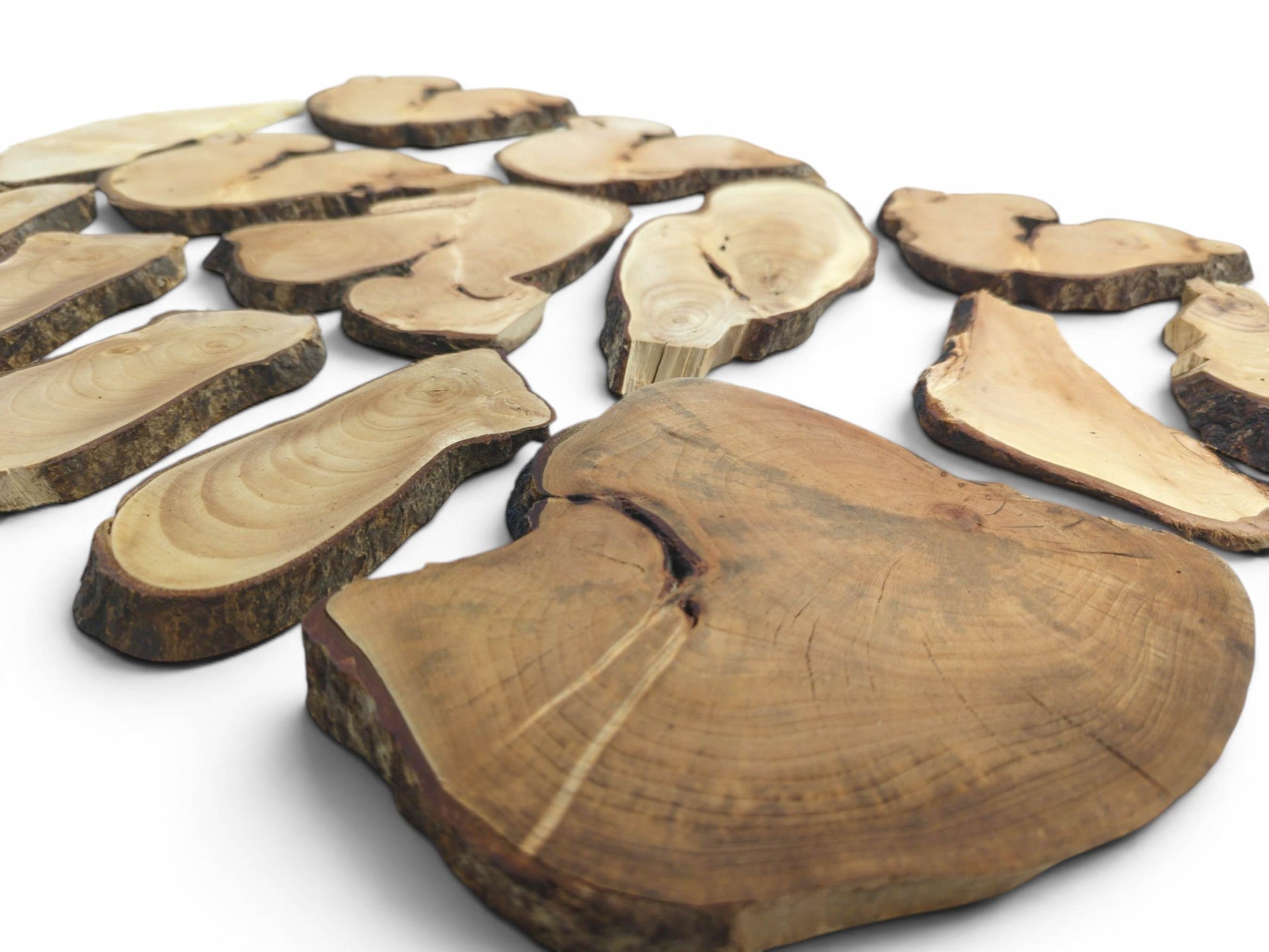 An overhead view of various natural linden wood slices with live bark edges and visible grain.
